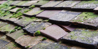 Euximoor roof repair costs